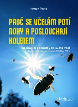 Proc se vcelam poti nohy a poslouchaji kolenem_tit